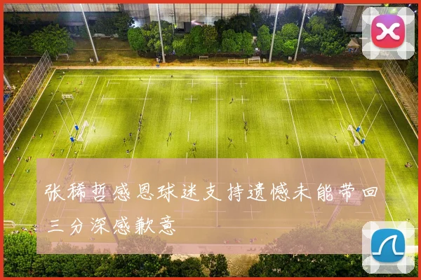 张稀哲感恩球迷支持遗憾未能带回三分深感歉意